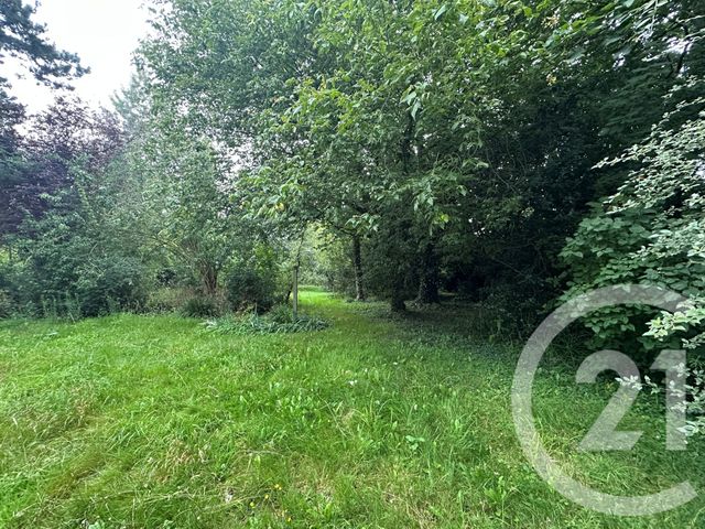 maison à vendre - 8 pièces - 227.0 m2 - ST CLAIR SUR L ELLE - 50 - BASSE-NORMANDIE - Century 21 Delucimmo