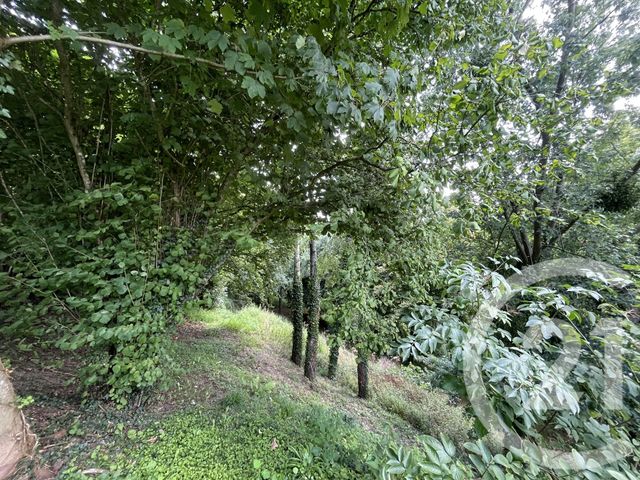 maison à vendre - 6 pièces - 231.91 m2 - ST LO - 50 - BASSE-NORMANDIE - Century 21 Delucimmo